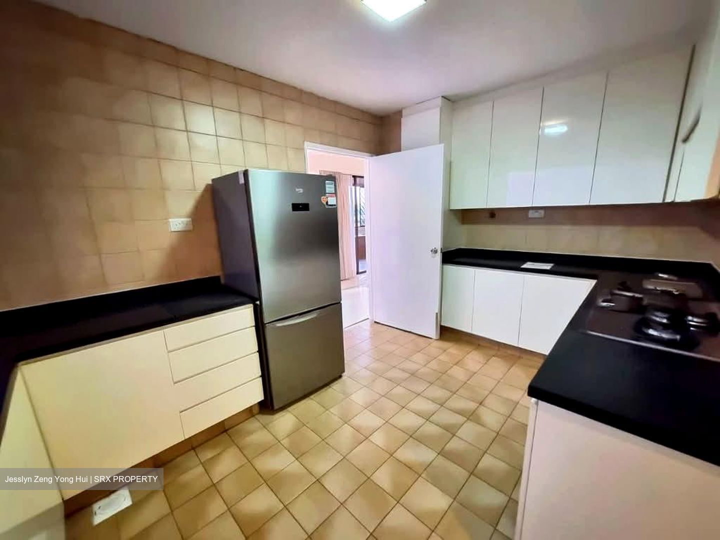 The Cairnhill (D9), Condominium #602912741